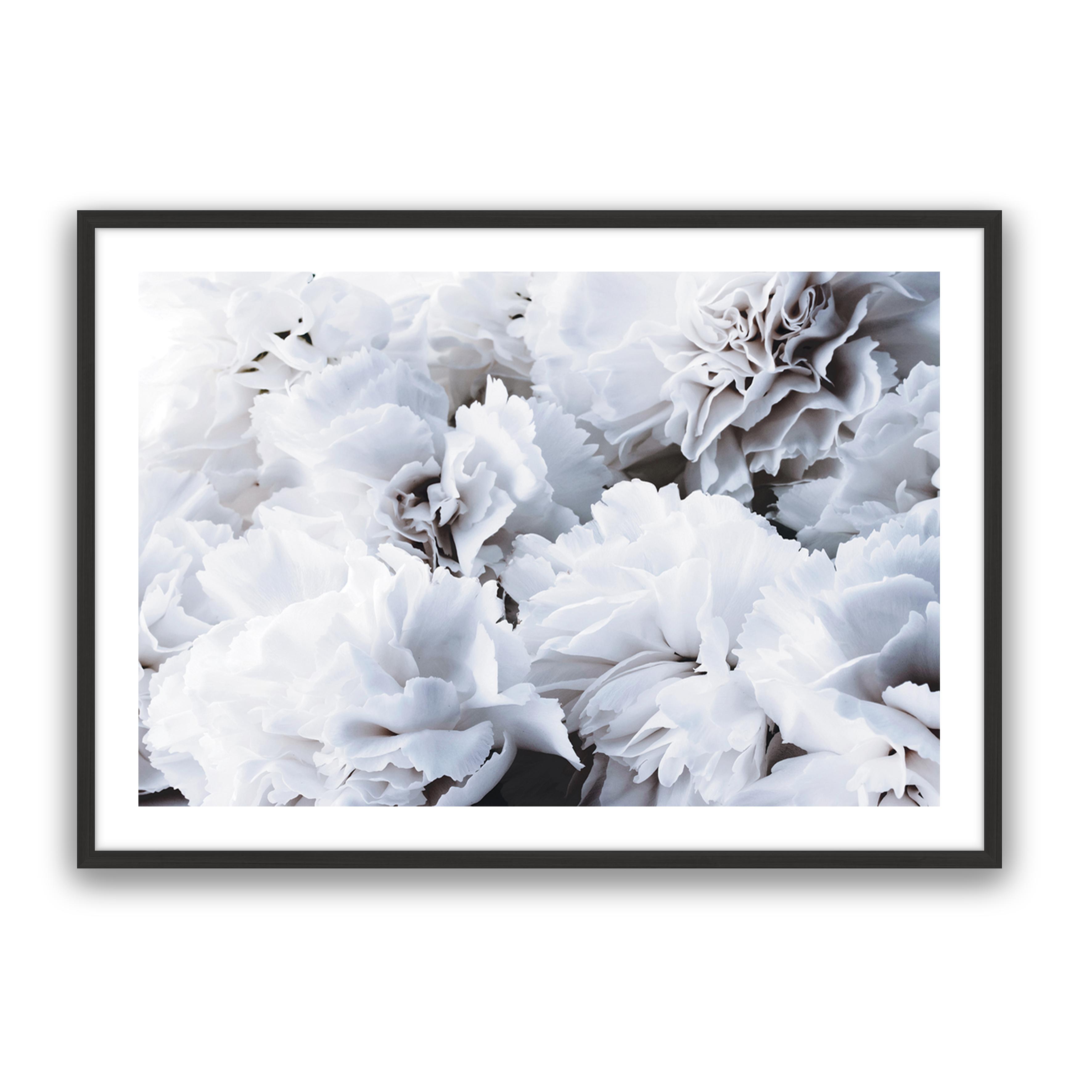 White Floral
