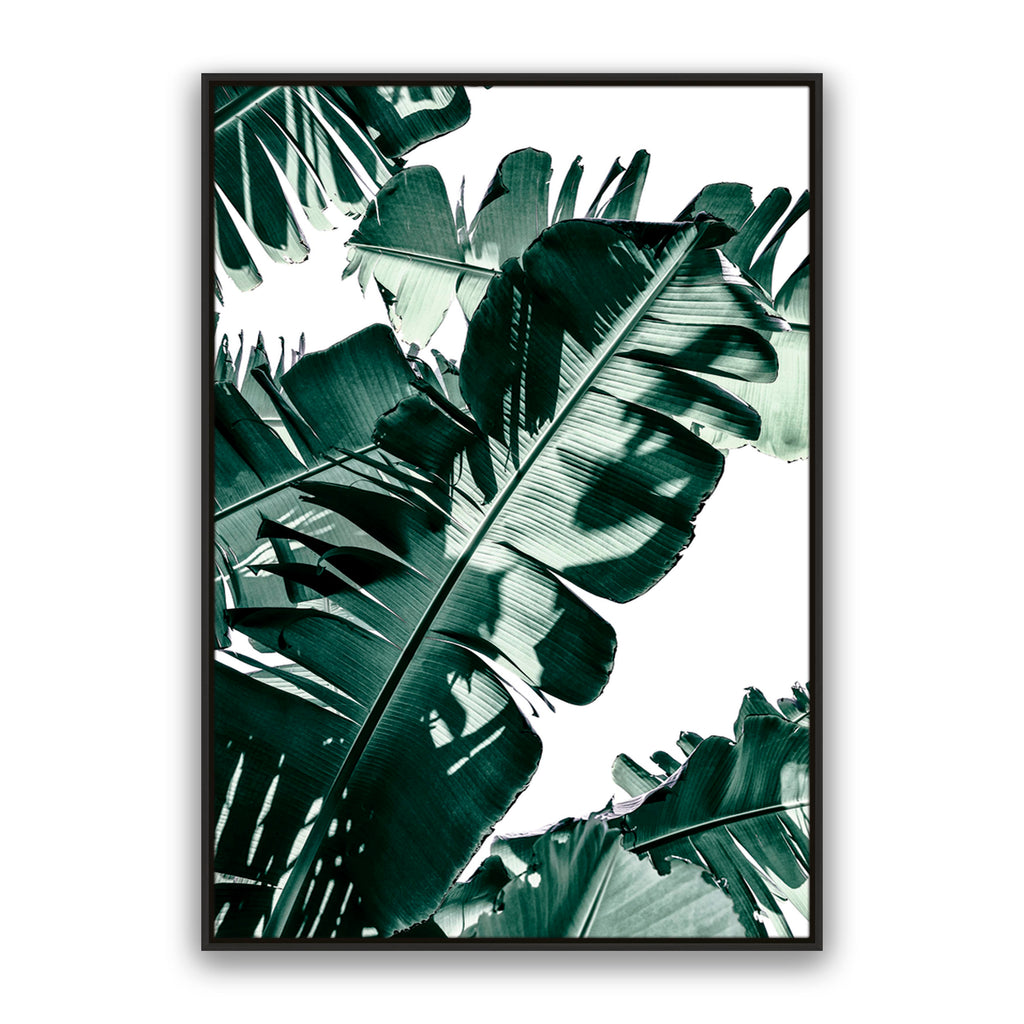 Tropic Leaf
