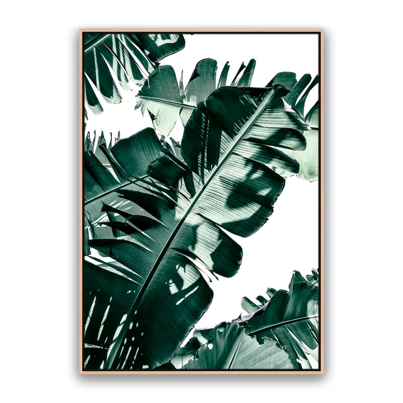 Tropic Leaf