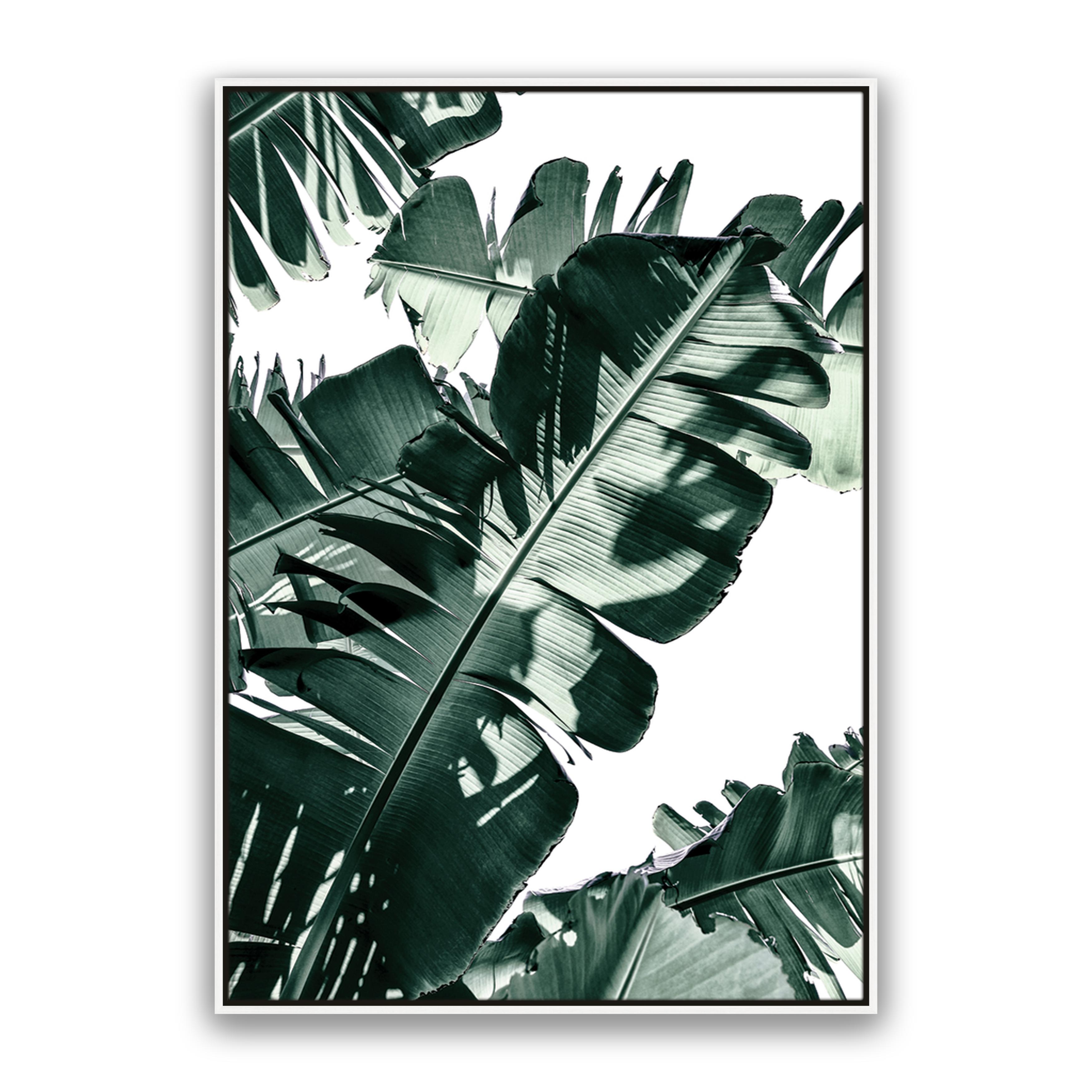 Tropic Leaf