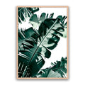 Tropic Leaf