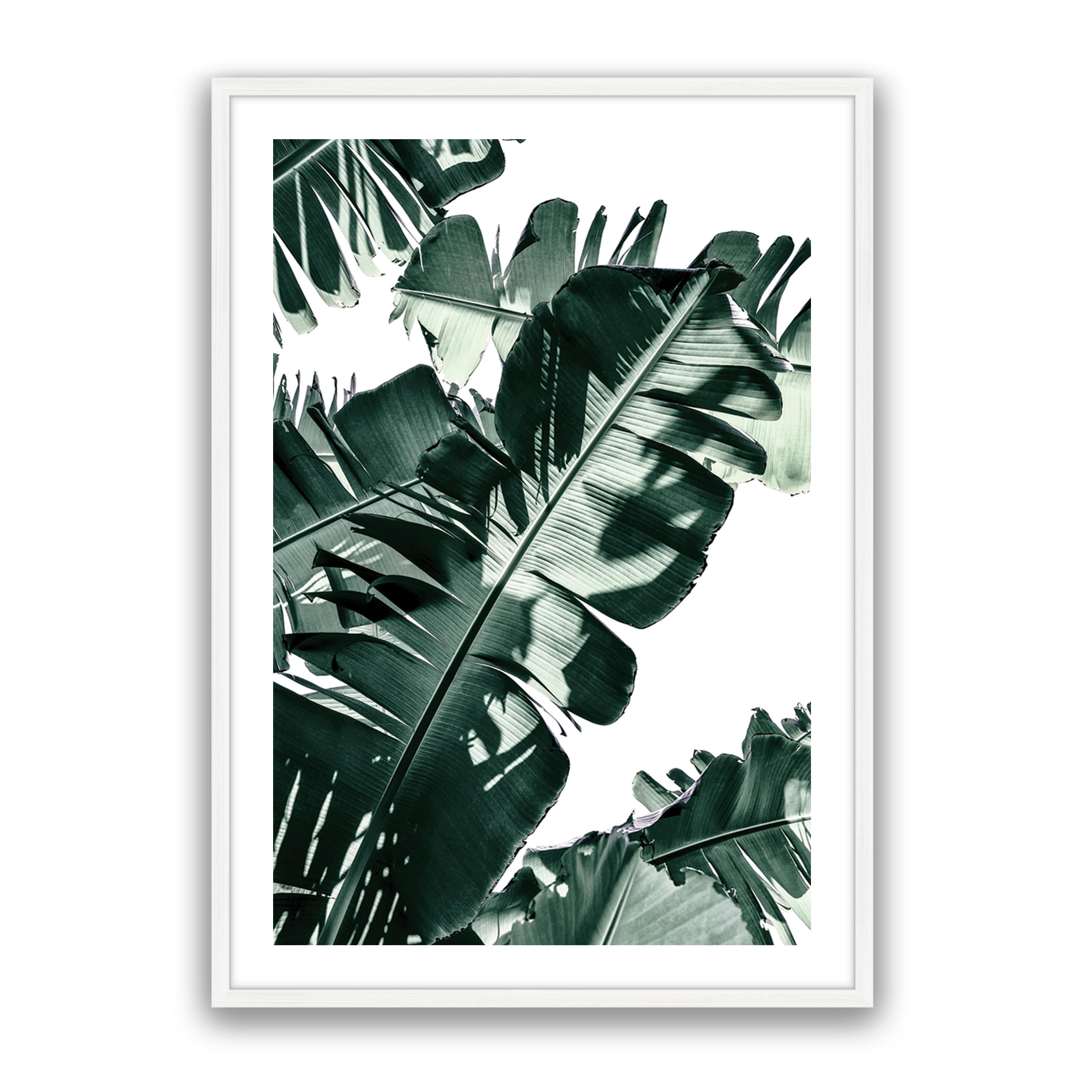Tropic Leaf
