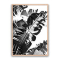 Tropic Leaf Bw