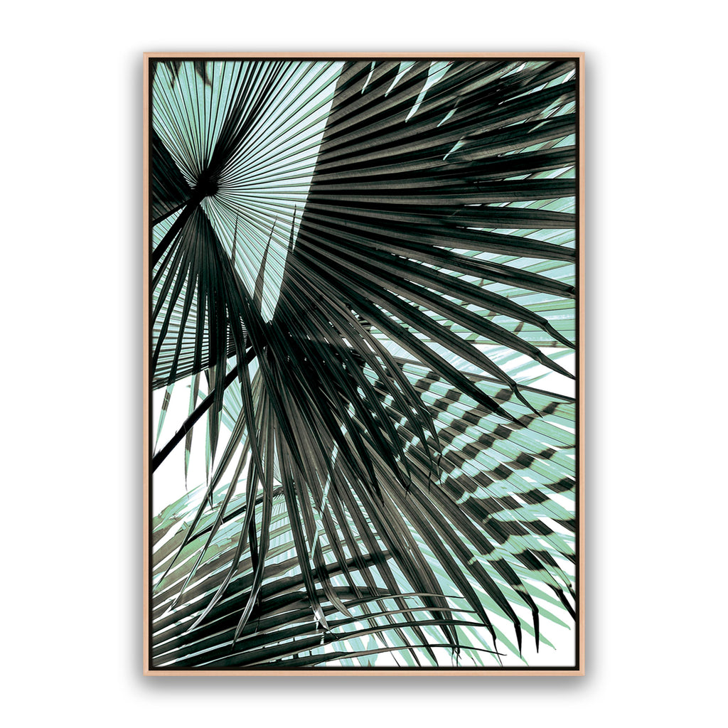 Tropic Palm