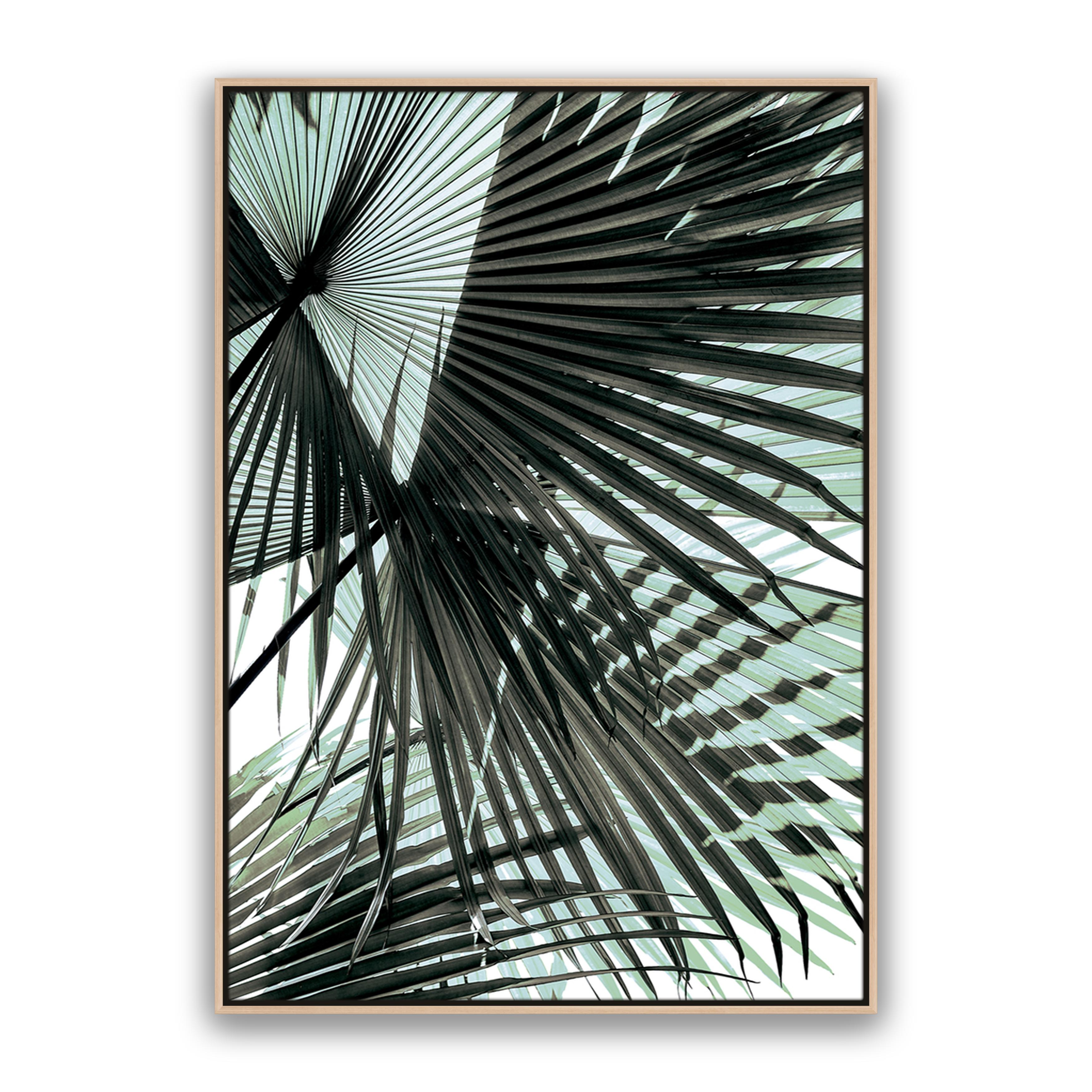 Tropic Palm