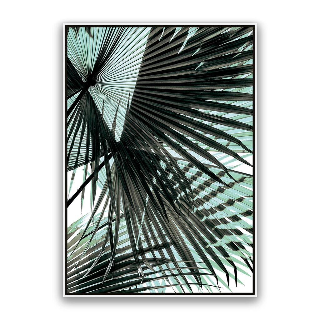 Tropic Palm
