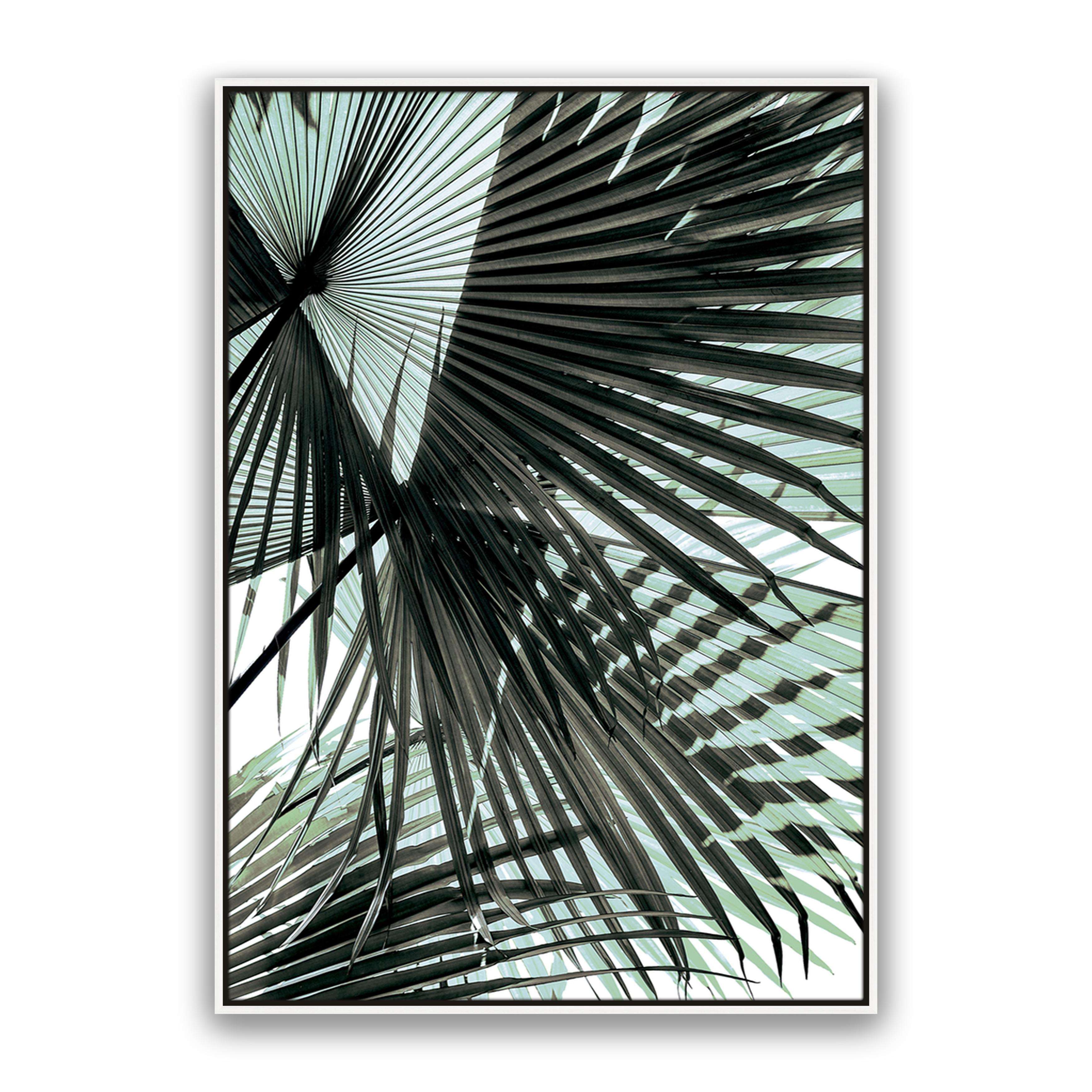 Tropic Palm