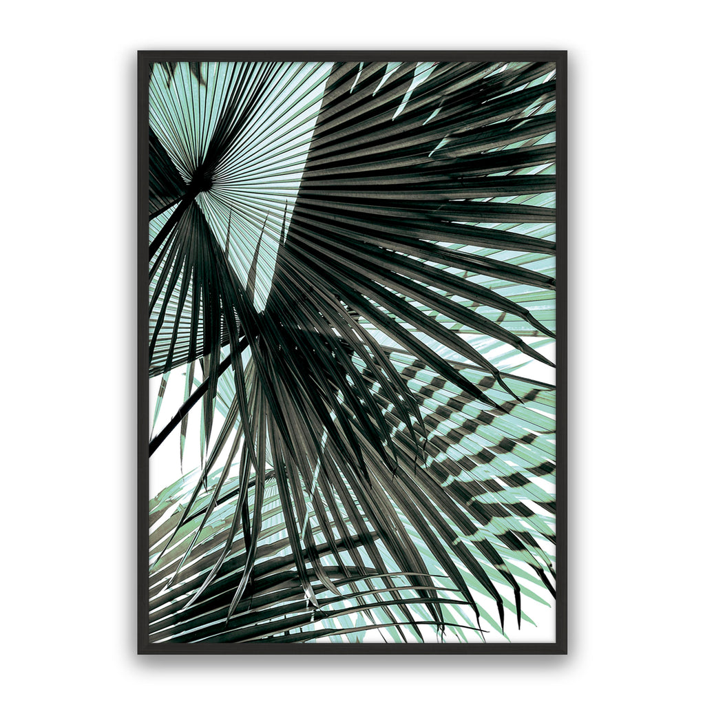 Tropic Palm