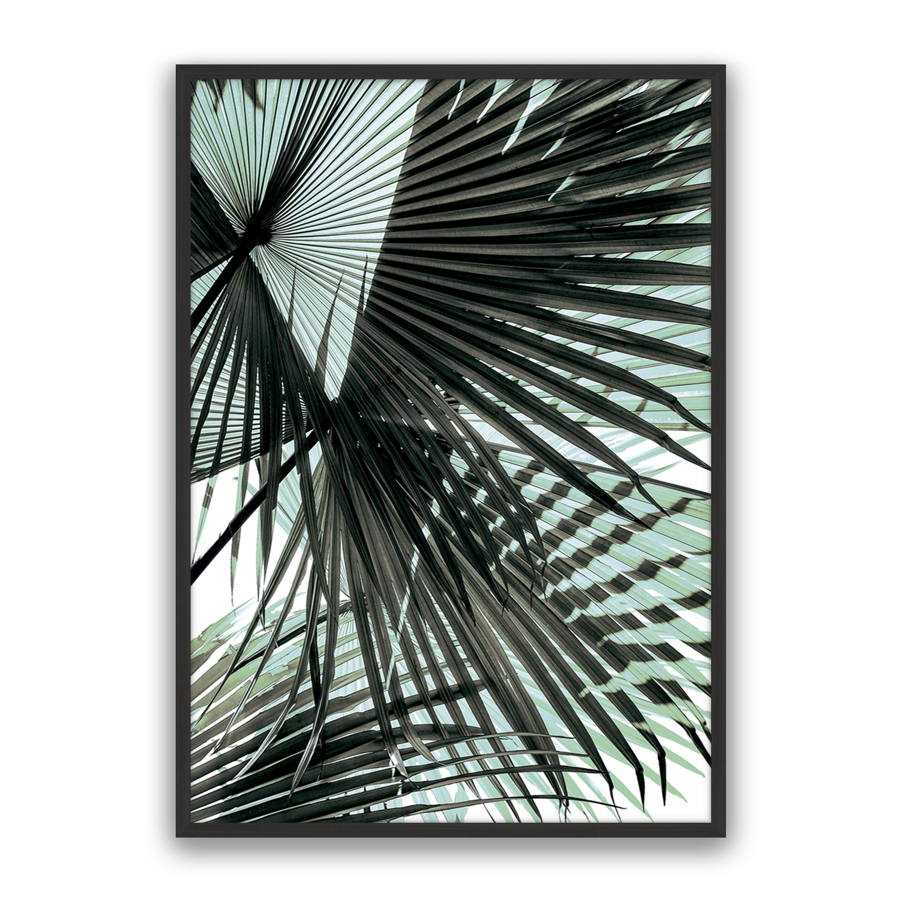 Tropic Palm
