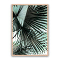 Tropic Palm