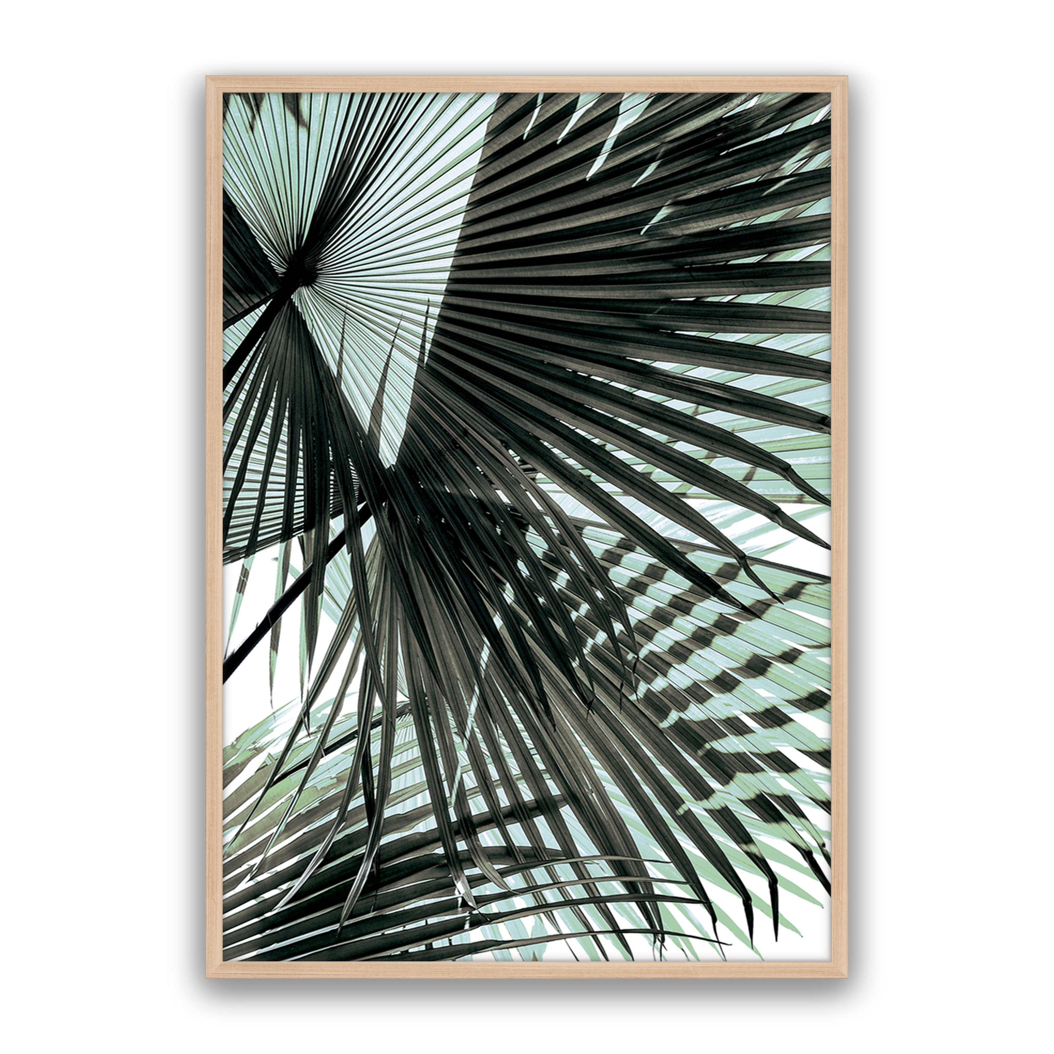 Tropic Palm