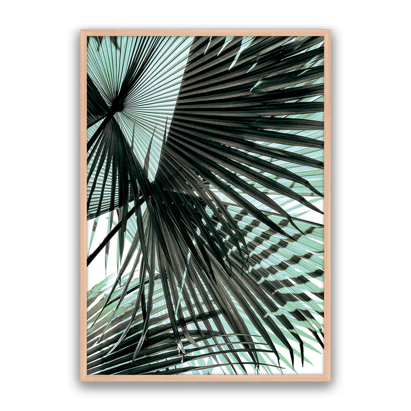 Tropic Palm
