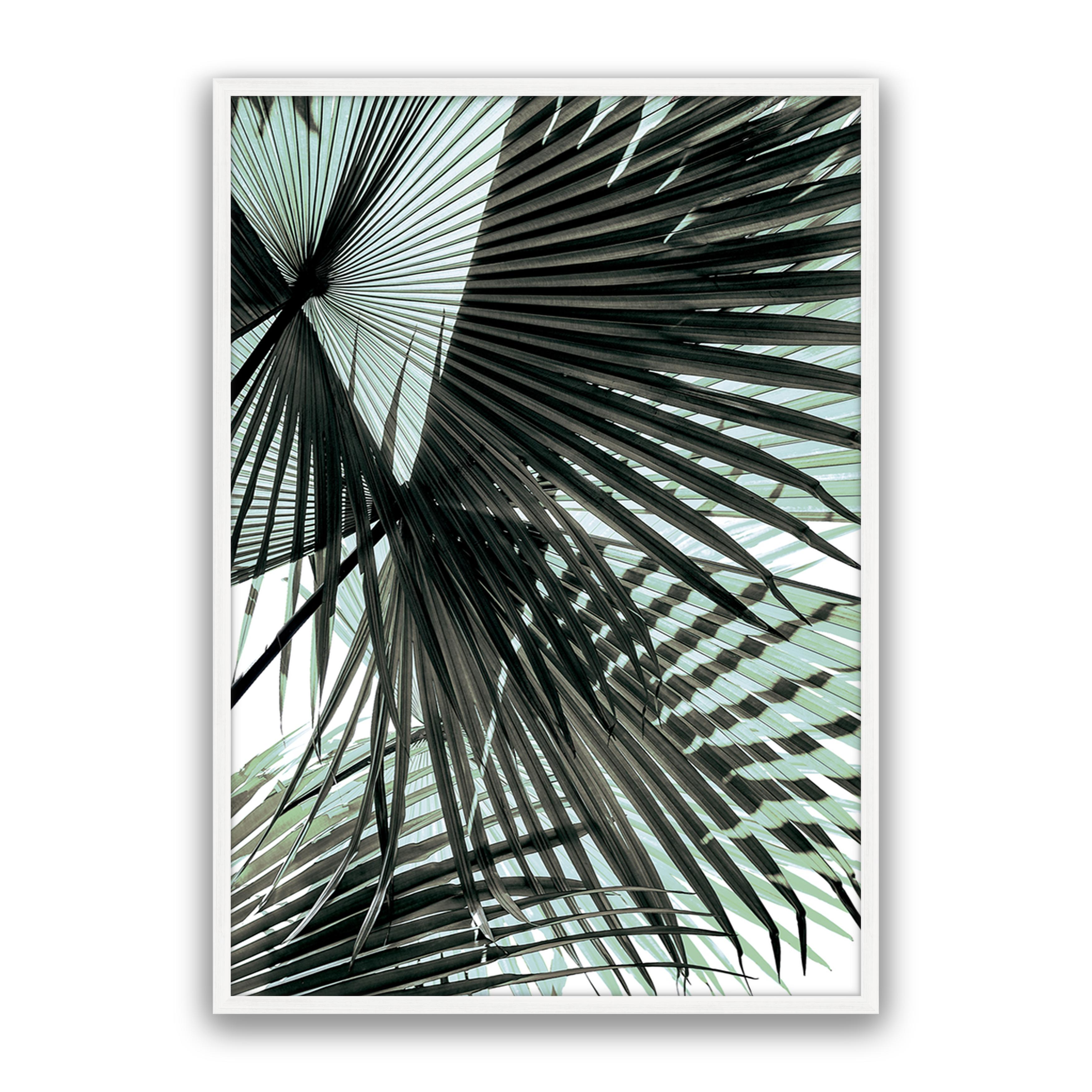 Tropic Palm