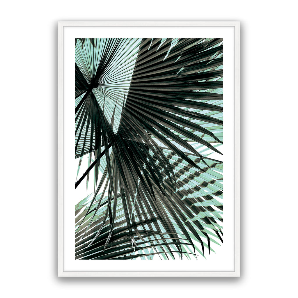 Tropic Palm