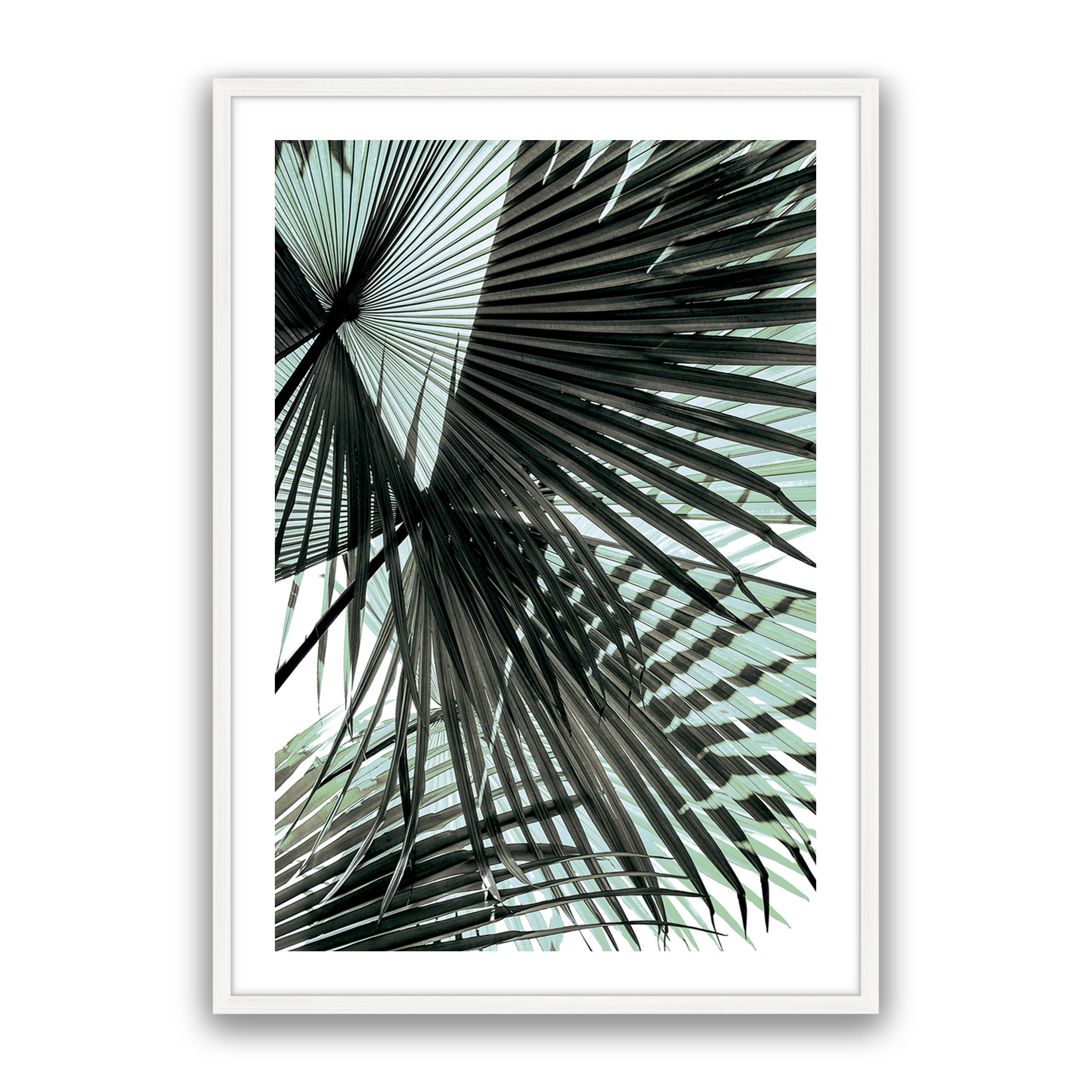 Tropic Palm