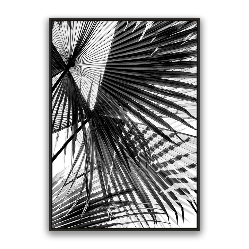 Tropic Palm Bw