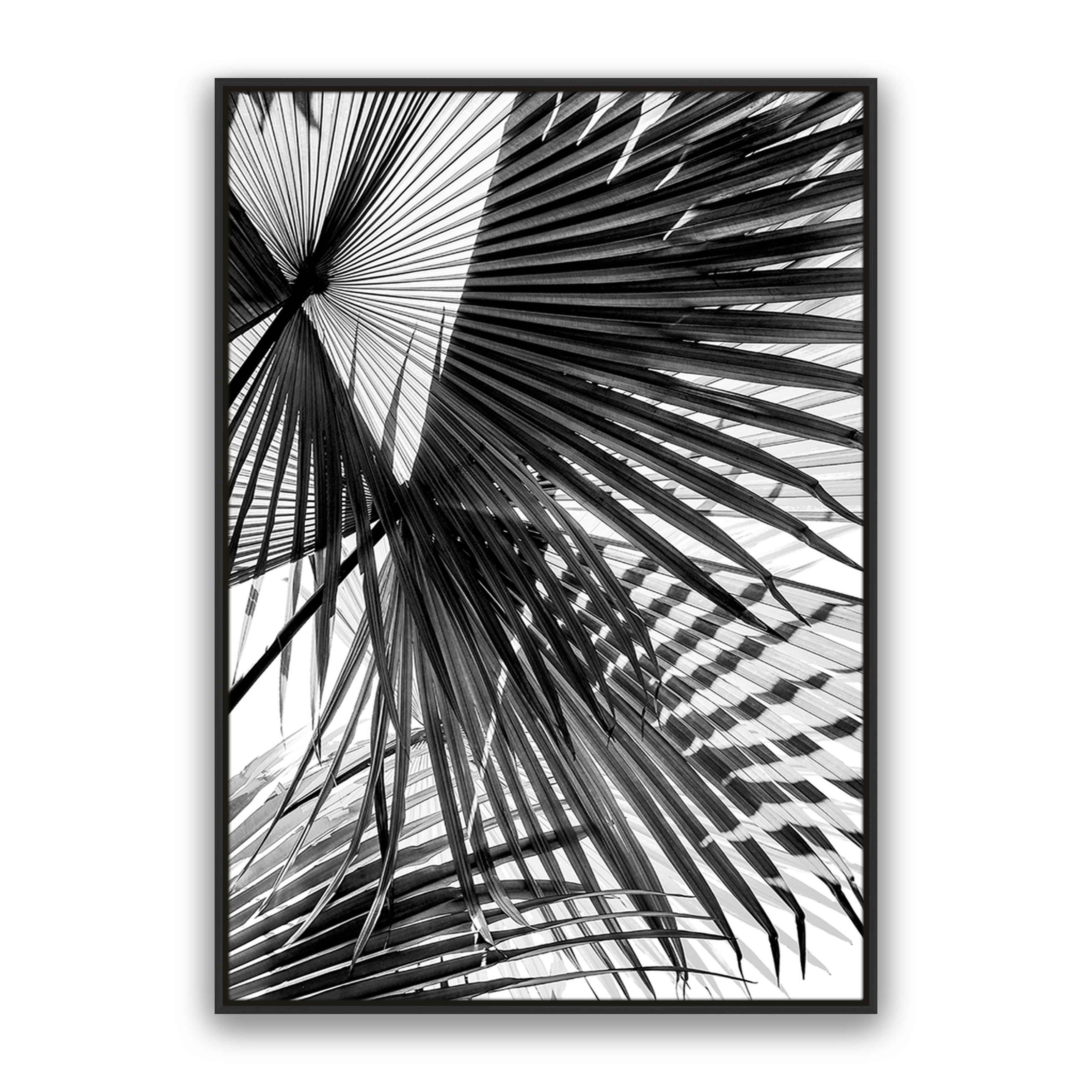 Tropic Palm Bw
