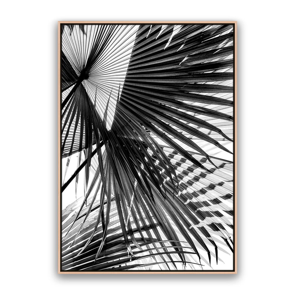 Tropic Palm Bw