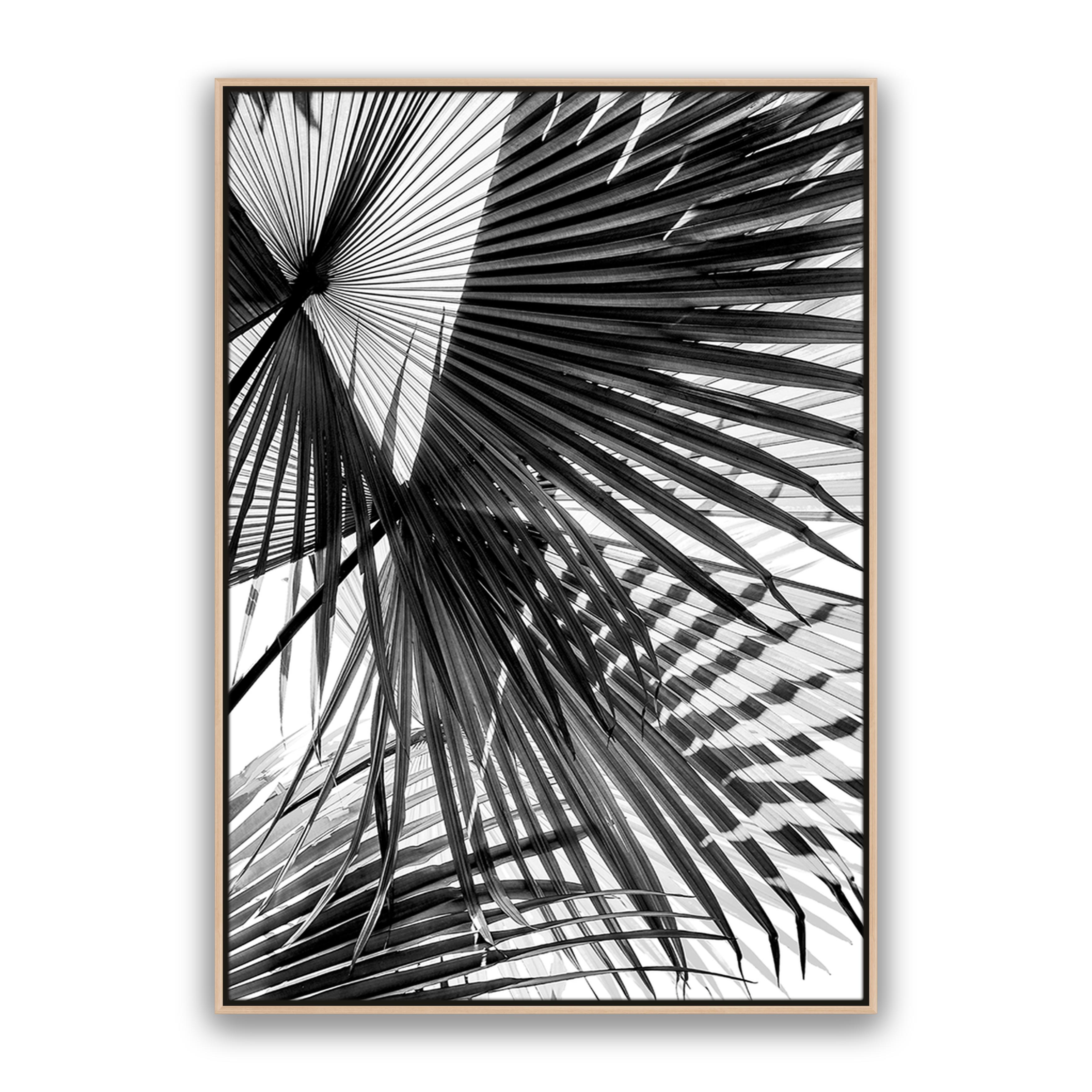 Tropic Palm Bw