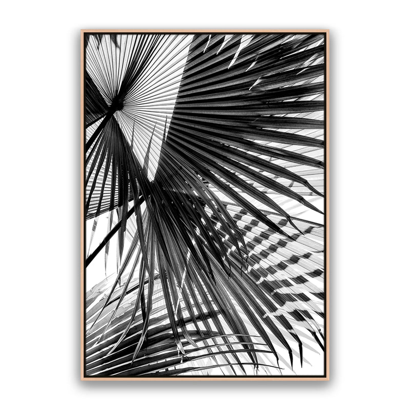 Tropic Palm Bw