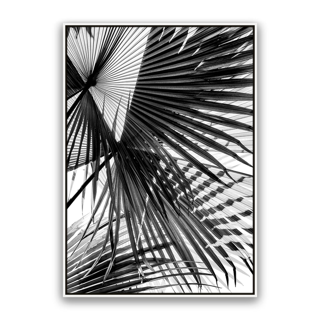 Tropic Palm Bw