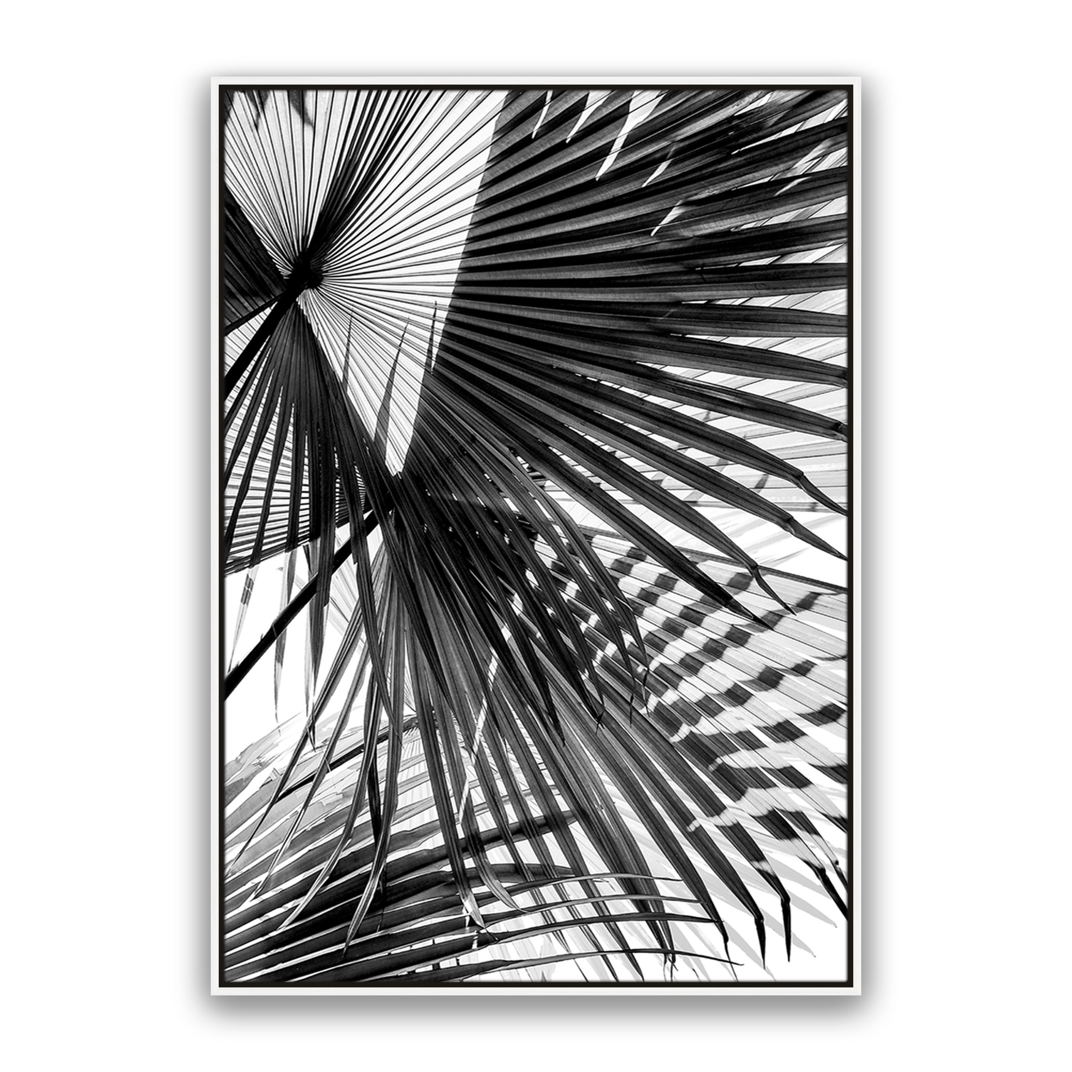 Tropic Palm Bw