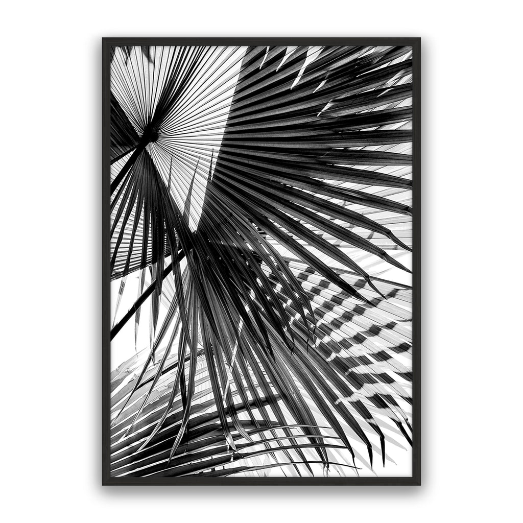 Tropic Palm Bw