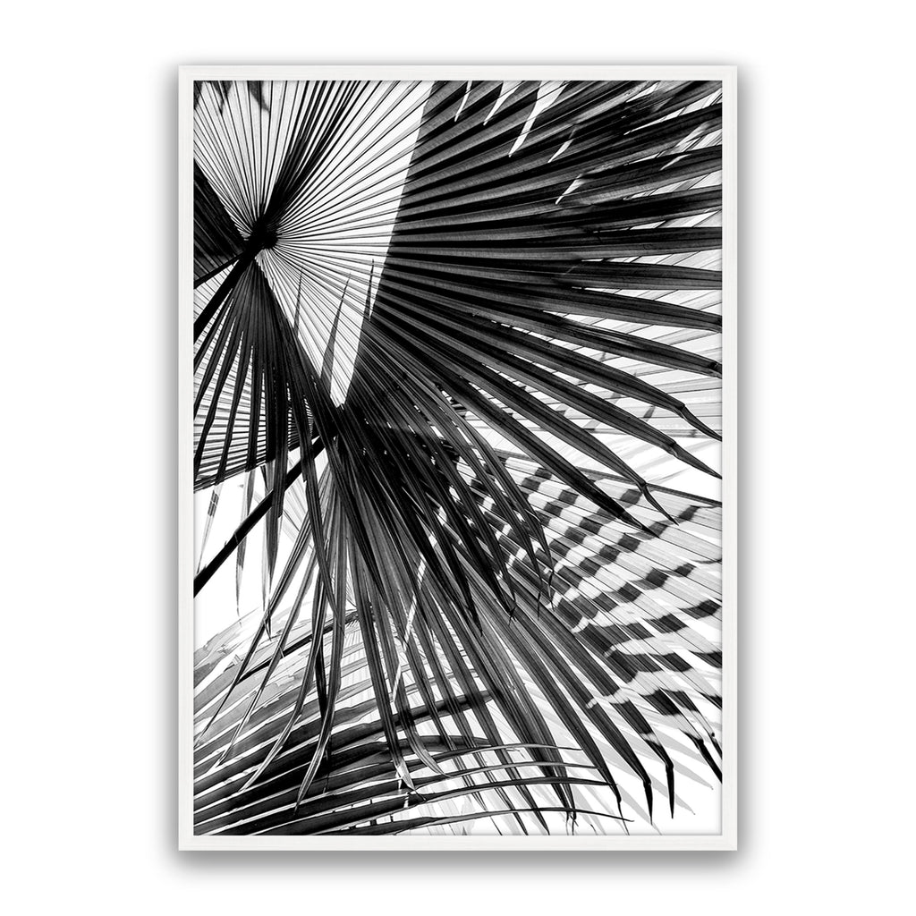 Tropic Palm Bw