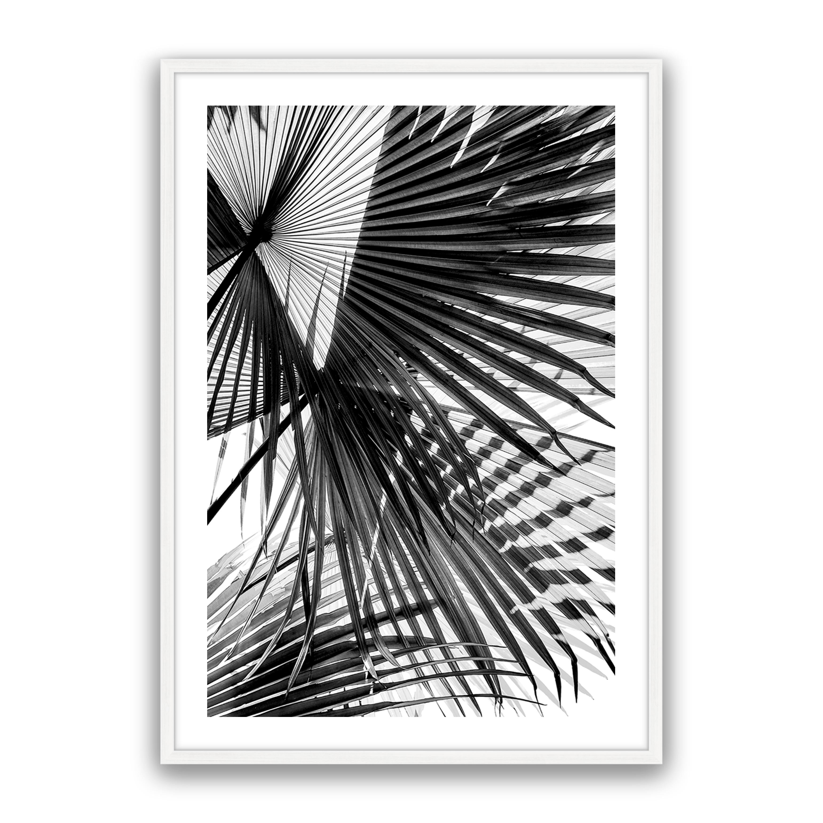 Tropic Palm Bw