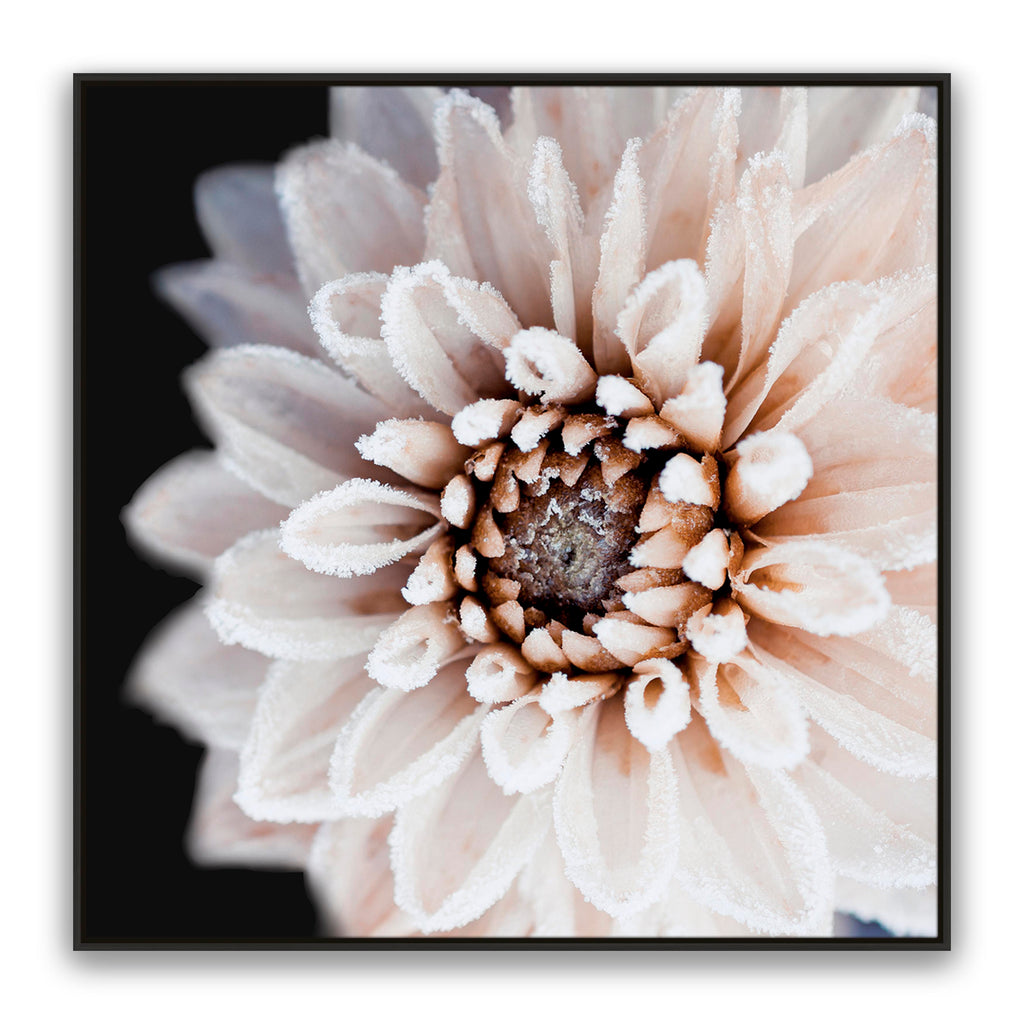 Coco Flower