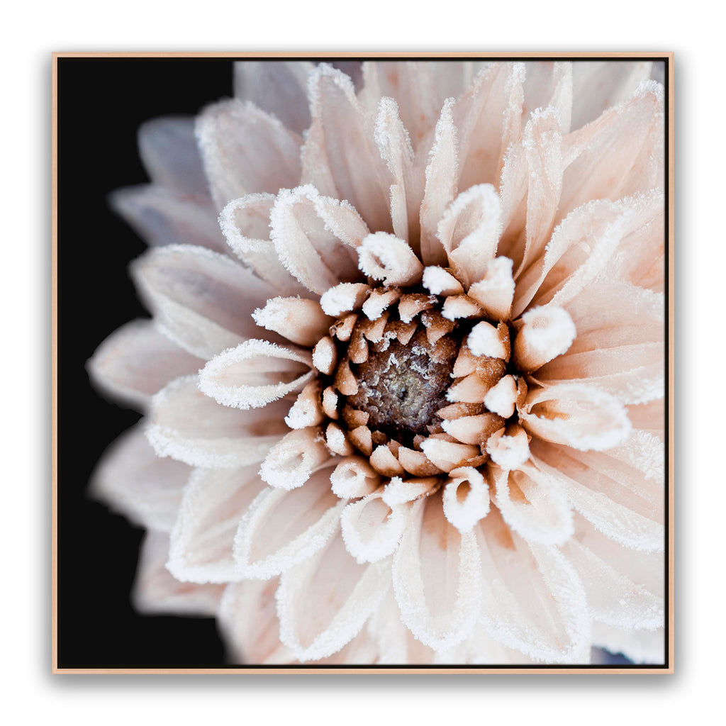 Coco Flower