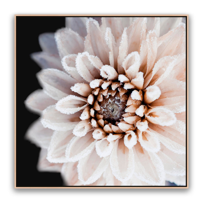Coco Flower