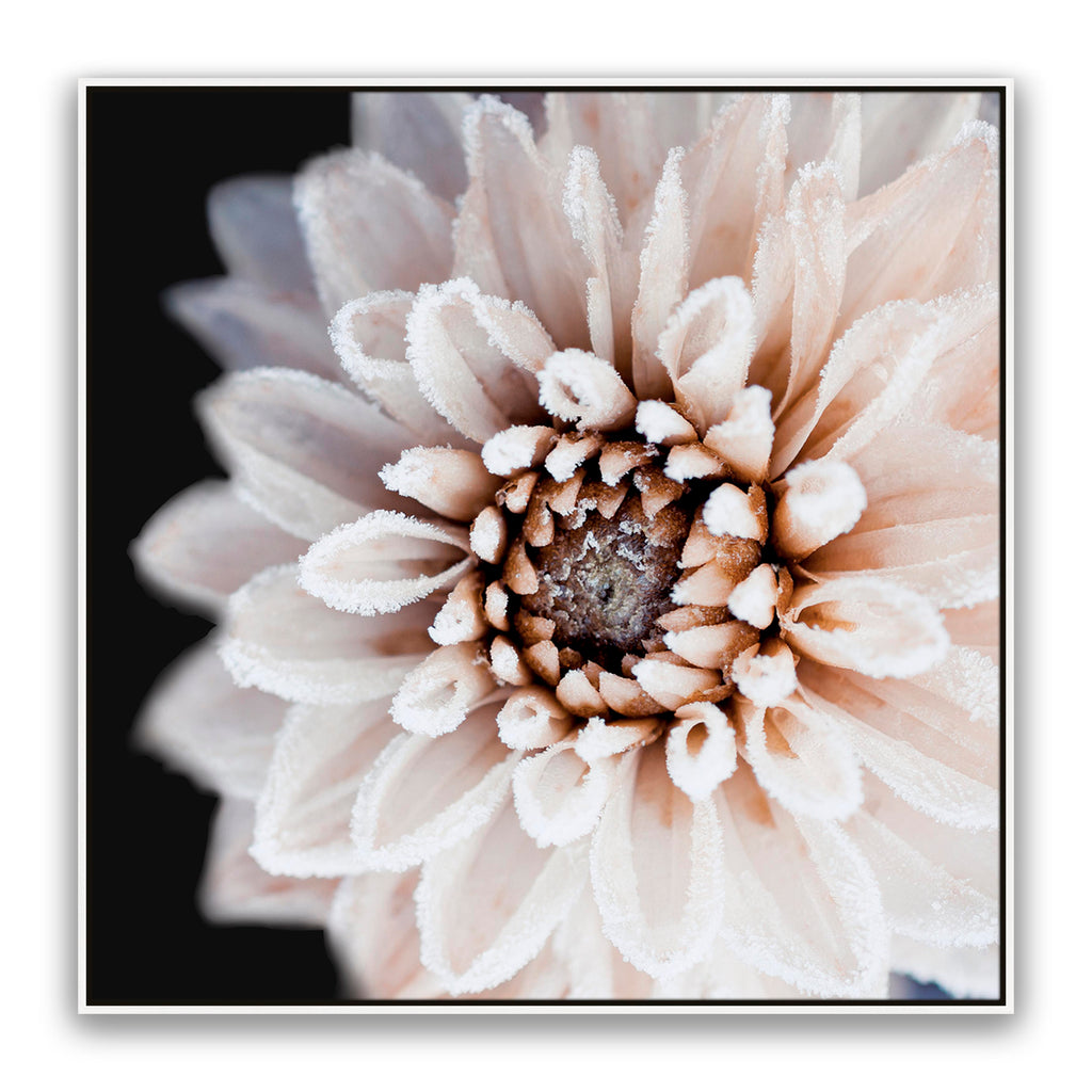 Coco Flower