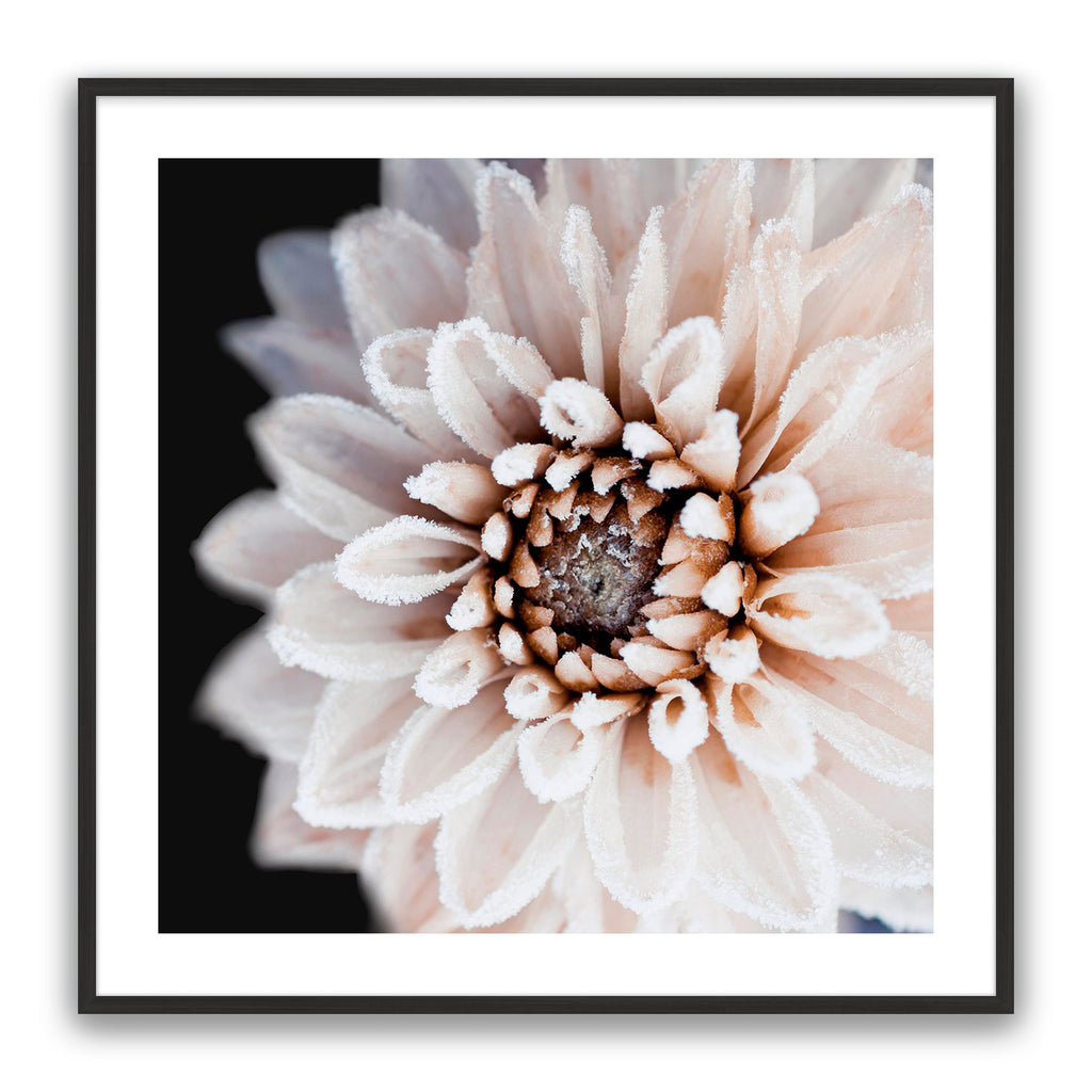 Coco Flower