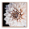 Coco Flower