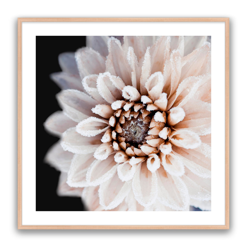 Coco Flower