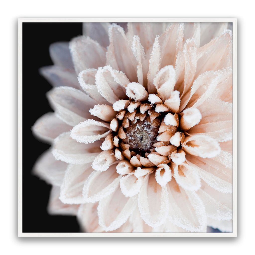 Coco Flower