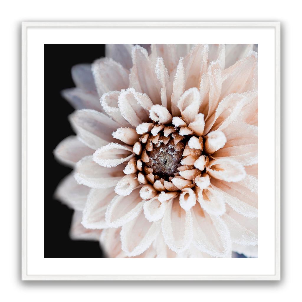 Coco Flower