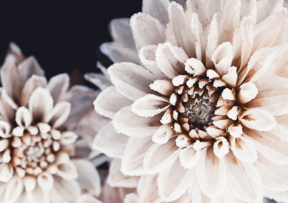 Coco Flower Landscape