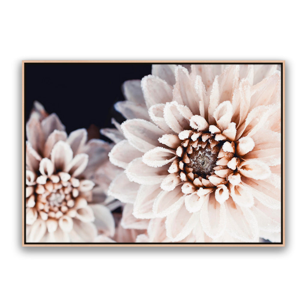 Coco Flower Landscape