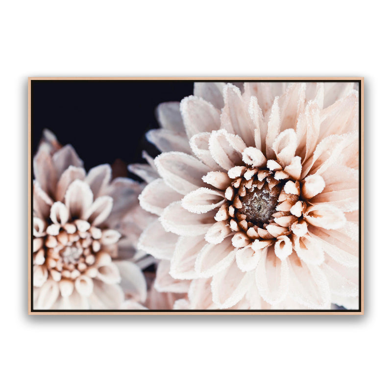 Coco Flower Landscape