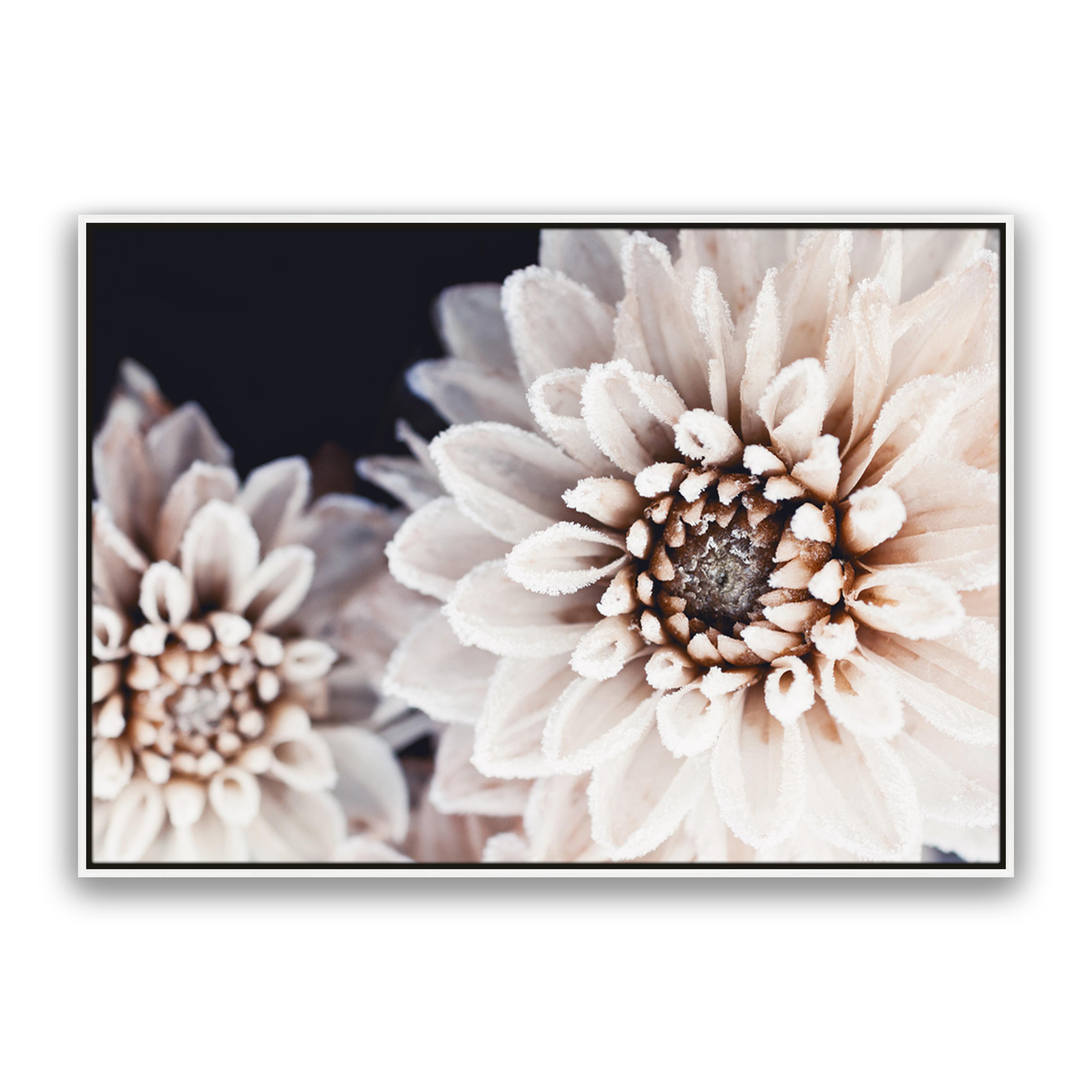 Coco Flower Landscape