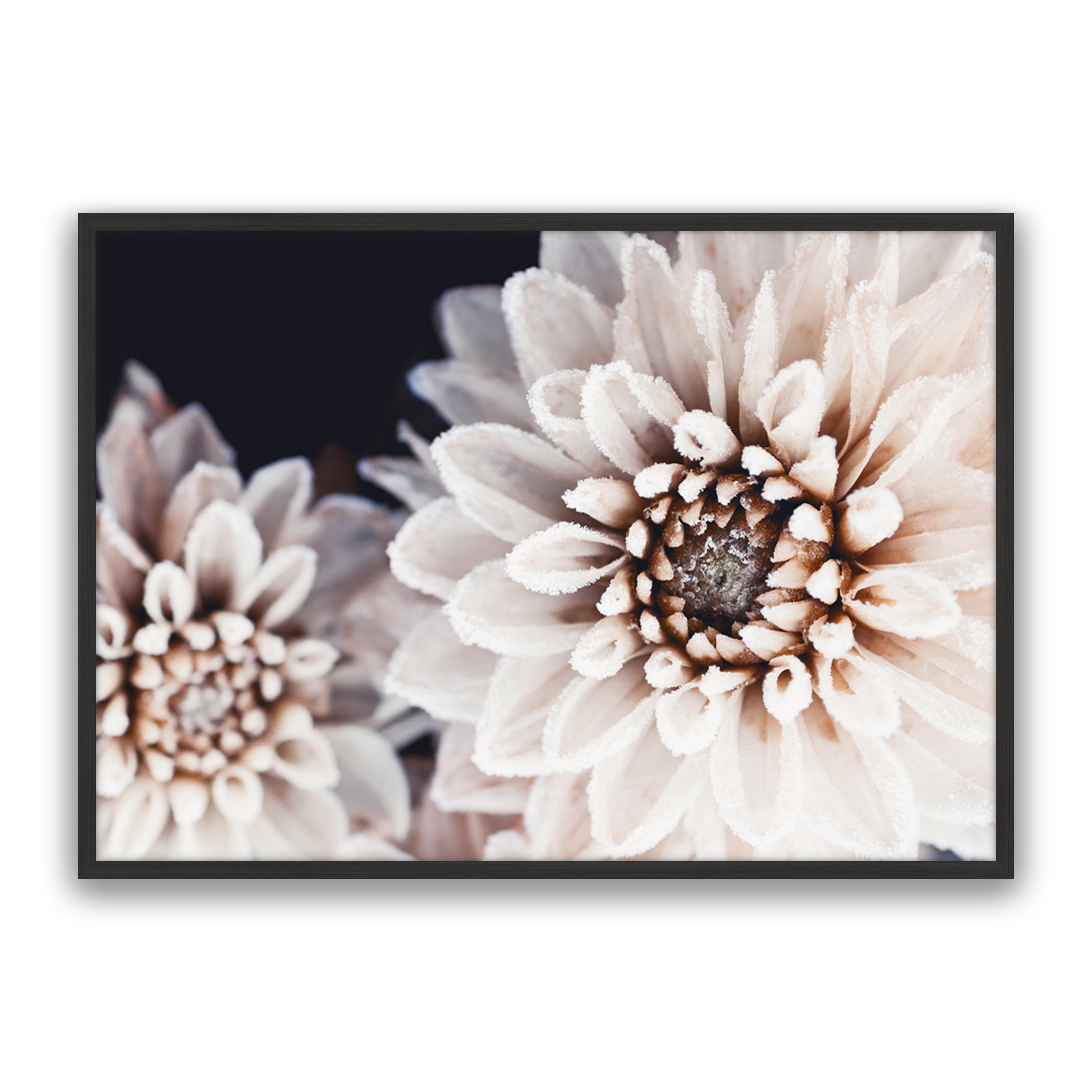 Coco Flower Landscape