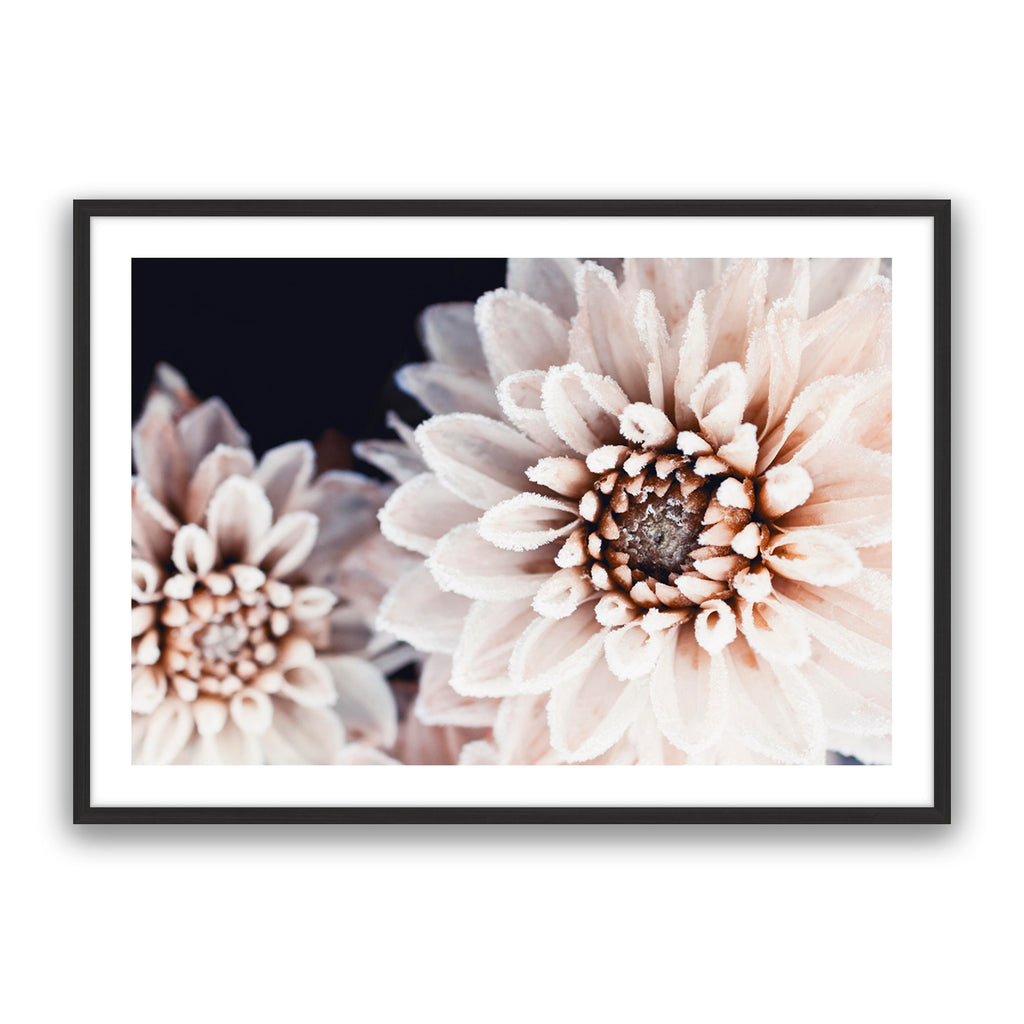 Coco Flower Landscape