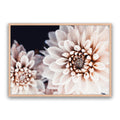 Coco Flower Landscape