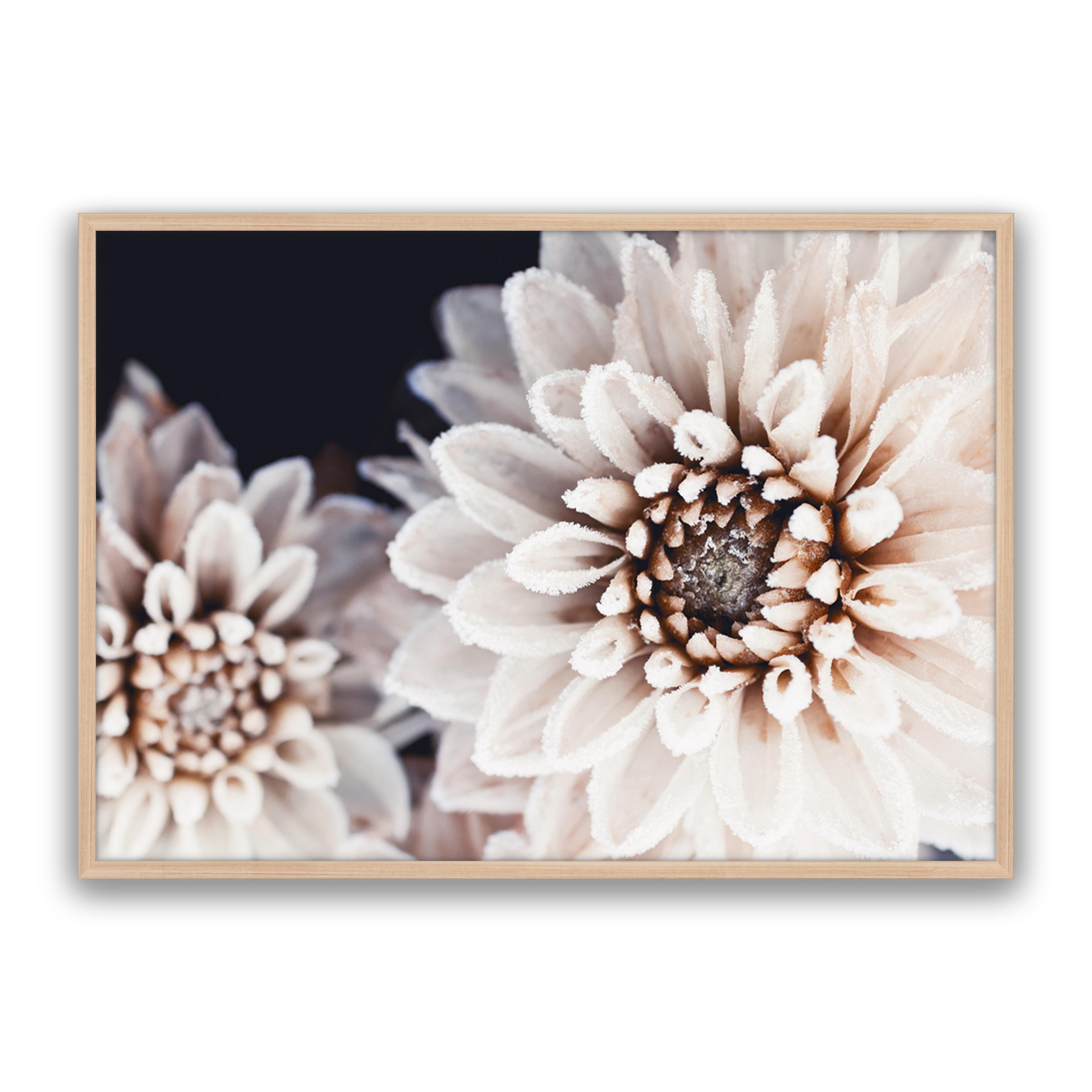 Coco Flower Landscape