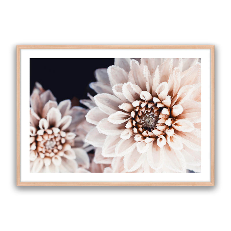 Coco Flower Landscape