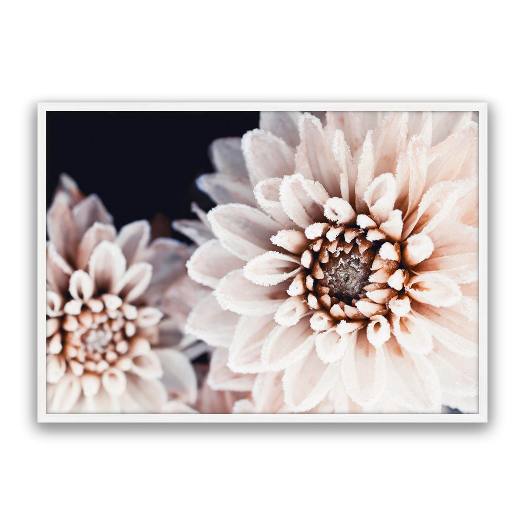 Coco Flower Landscape