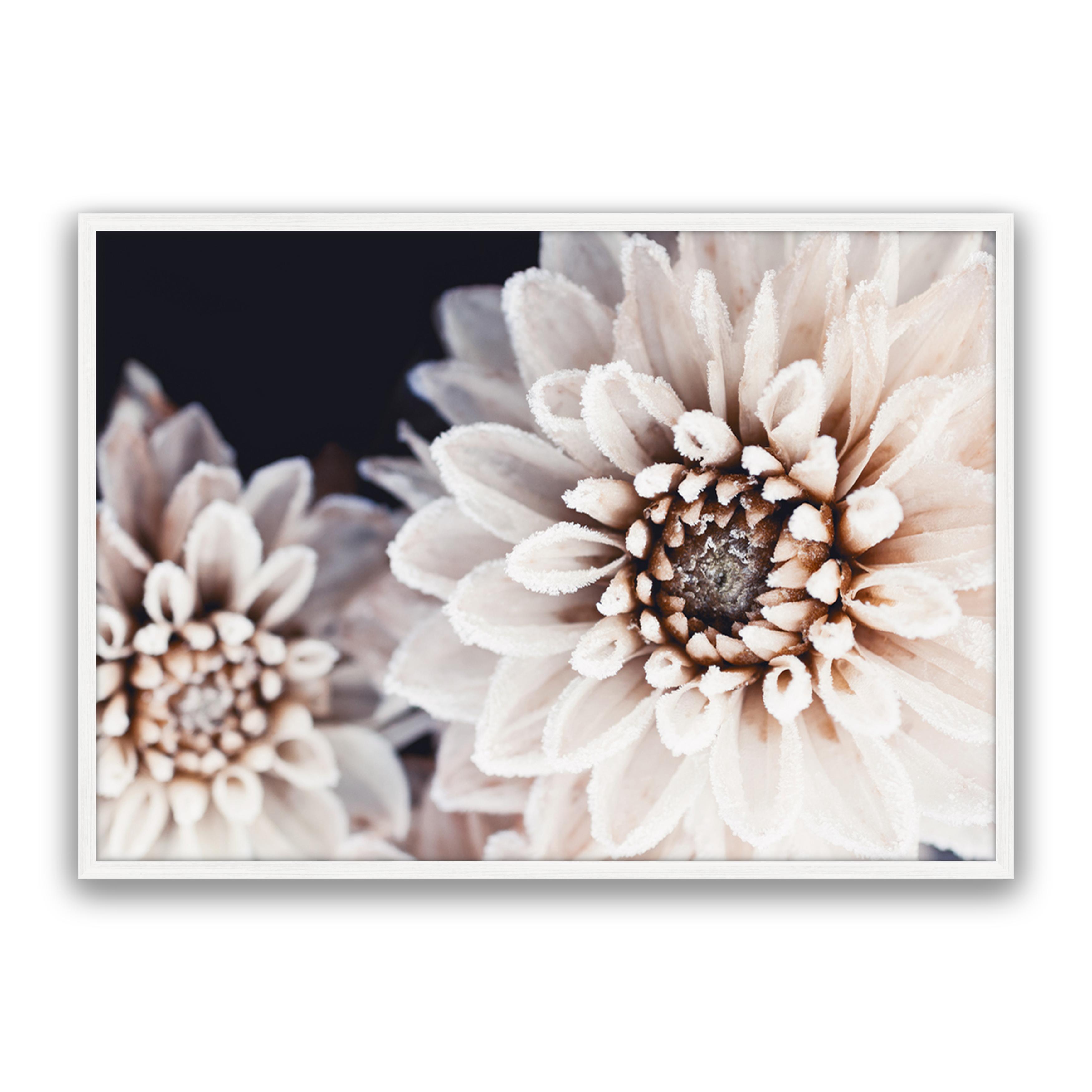 Coco Flower Landscape