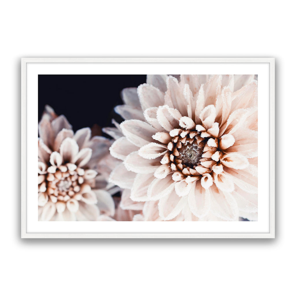 Coco Flower Landscape